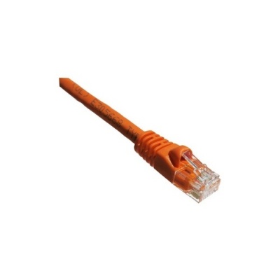 Axiom 100ft Cat6a Cable (orange) - Taa (AXG95811)