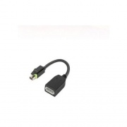Lenovo Cable_bo Ts Mini Dp To Dp Adapter (4X90Q93975)