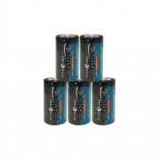 Pyramid Lithium Battery 5 Pack (42224-5)