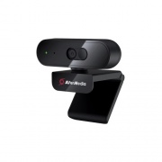 Avermedia Technologies Avermedia Webcam (PW310P)