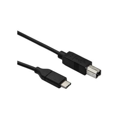 Axiom Usb 2.0-c To Usb-b Cable 10ft (USB2CBMM10-AX)