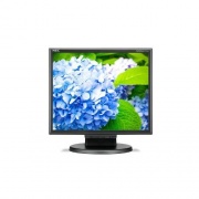 NEC 17 Desktop Monitor W/ Led Backlighting (E172M-BK)