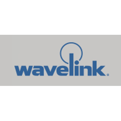 Wavelink 310-MA-AVAVR3